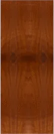Custom Flush Mahogany Doors