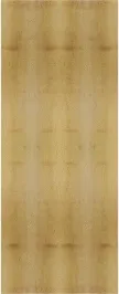 Custom Flush Maple Doors