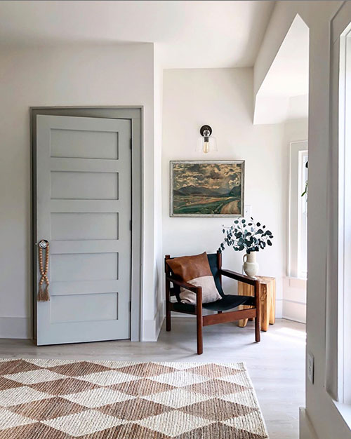 Beautiful Gray Interior Door